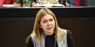 Violencia sobre hijas e hijos de mujeres víctimas podría establecerse como violencia vicaria.