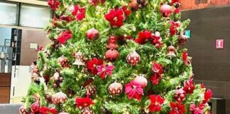 La última del año .