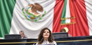 Trabajar por la inclusión real de personas con discapacidad, convoca diputada