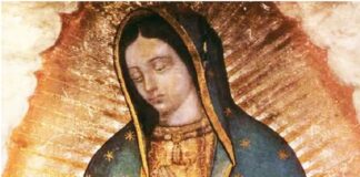 ¿Por qué la Virgen de Guadalupe es la mujer de Apocalipsis?