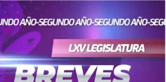 “El tiempo es oro”, por ello, en tan sólo un minuto les resumimos lo más destacado de la semana, ¡miren las #BrevesDelSenado!