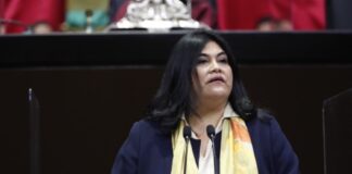 Promueve María Guadalupe Chavira clasificar violencia vicaria como violencia de género .