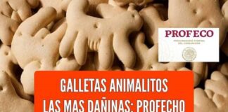 Las galletas de animalitos, las más dañinas, afirma Profeco .