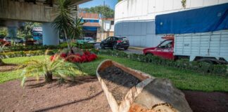 Exhorta Ayuntamiento a cuidar y respetar imagen urbana en Xalapa .