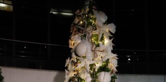 Ricardo Monreal enciende árbol de navidad en el Senado