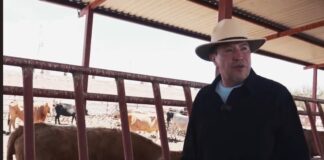 Ganadería, referente de nuestro país que da serenidad y tranquilidad, asegura Ricardo Monreal .