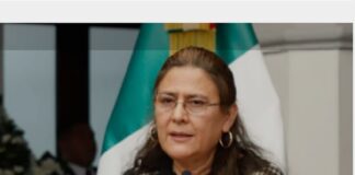 Trasciende que Rosario Orozco puede ser la gobernadora de Puebla .