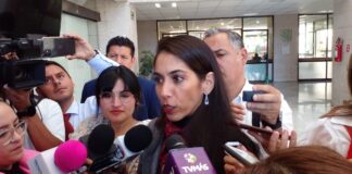 La fiscal Verónica Hernández descarta tráfico de bebés en Veracruz .