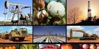 Se frenan actividades económicas y hay regresión en primarias .