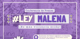 Presentan Ley Malena para sobrevivientes de violencia ácida .