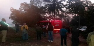 Sin explicación oficial la falta de vigilancia en carreteras de Veracruz que permiten asaltar a ADOs o vehículos particulares