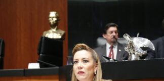 Proponen otorgar licencia de paternidad de 30 días laborales con goce de sueldo .