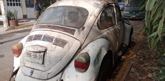 Notificó Tránsito a 120 propietarios por “auto maceta”; 107 fueron removidos del lugar #Córdoba