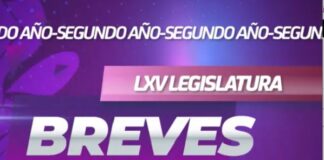 Ya conocen nuestra sección #BrevesDelSenado?