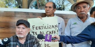 Cafeticultores en Veracruz alertan que producción caerá en 40 por ciento por falta de apoyo