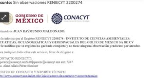 Bombas Molotov y granadas de mano… ¿Veracruz seguro?