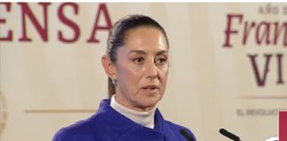 Oportunismo en tiempos de corcholatas .