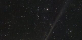 Mira hacia el cielo… ¡Maravíllate con el cometa!