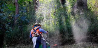 Realiza Medio Ambiente de Xalapa jornada comunitaria en Casa Blanca .