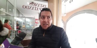 Suman 5 aserraderos clandestinos clausurados y 35 personas detenidas: Sedema