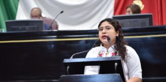 Garantizar bienestar animal, pide Diputada.