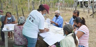 IVEA invita a personas que deseen ser asesores voluntarios y recibir un subsidio .