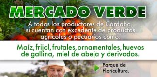 Apertura Fomento Agropecuario convocatoria para “Mercado Verde” en Córdoba.