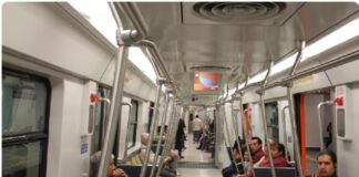 Línea 12 del Metro: un proyecto de despojo y violencias contra mujeres originarias .