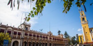 Se derrumba el castillo de la pureza .