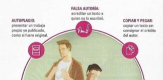 El Plagio de la Ministra .