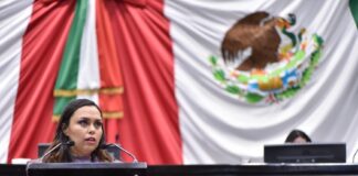 Castigar la violencia vicaria en Veracruz, pide Diputada .