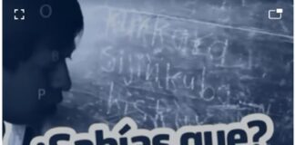 ¿Sabías cuáles son algunas de las lenguas indígenas más habladas en México? Inali informó a Comisión de Asuntos Indígenas del Senado.