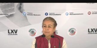 Senadora de Morena exige libertad para estudiantes y cese al hostigamiento contra UdeG