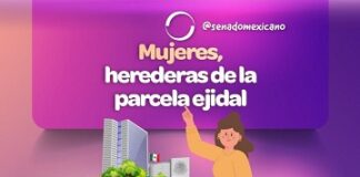 2022 fue el año durante el cual senadoras y senadores impulsaron que las mujeres puedan ser herederas de parcelas ejidales.