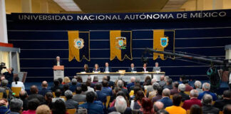 Aquí también hay plagios