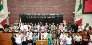 Más de 12 millones de personas en México sufren depresión, alertan en foro del Senado