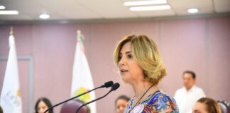 Imperativo, combatir desde la ley la violencia vicaria: diputadas .