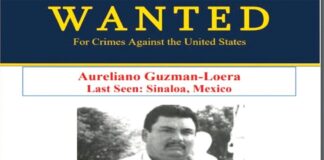 Capturan al hermano de. #”El Guano” Aureliano Guzmán Loera .