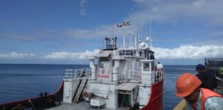 SHPC deberá informar denuncias de contrabando de combustible en sexenios de AMLO y EPN