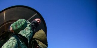 Perritos callejeros, de un problema a una fortaleza .