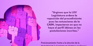 Defensoras, activistas y víctimas en Oaxaca demandan reposición de elección de titular de CEAVI y CADH