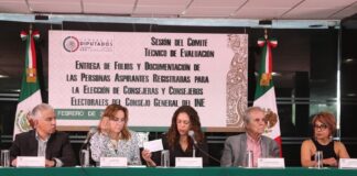 De 664 aspirantes a consejeros del INE 204 son mujeres .