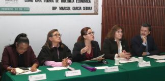 Buscan señalar legalmente omisión de pensión alimenticia como violencia económica contra mujeres: Marisol García