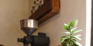 Autoridades invitan al evento “Xalapa, Café y Aroma” .