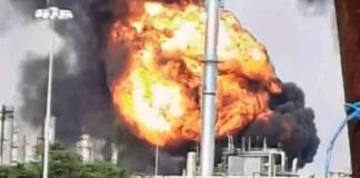 Veracruz y el daño ambiental .