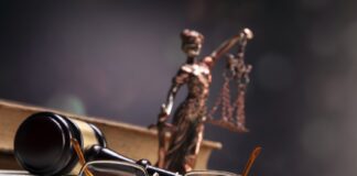 SCJN tendrá poco tiempo para resolver impugnaciones al Plan B: IBD ,