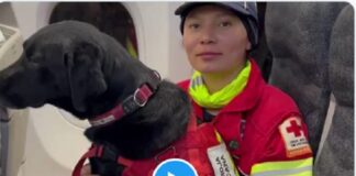 Los binomios caninos rescatistas mexicanos en Turquía