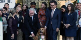 Realizan ceremonia de jubilación de “Lucas”, elemento canino de la Cámara de Diputados