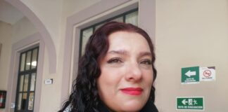 Alerta SIPINNA sobre normalización de violencia en hogares, escuelas y redes sociales