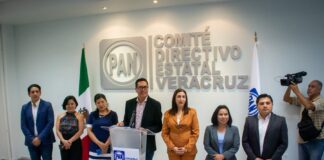 El Plan B es una reforma “toxica”, señala PAN Veracruz .